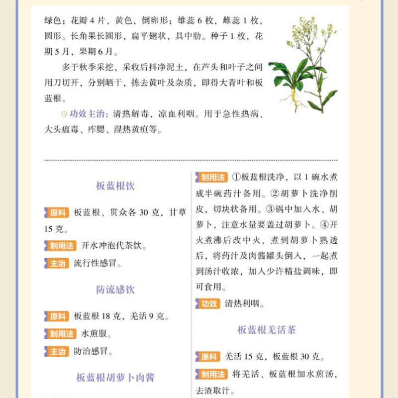 Single Herb TCM Nourishment Qu - Herbal Holistic Wellness ulasan dan harga
