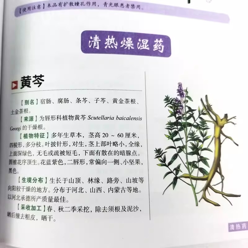 The Ancient Herbarium Holistic - Herbal Holistic Wellness ulasan dan harga