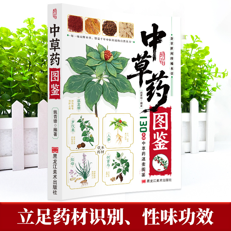 Illustrated Guide  Chinese Her - Herbal Holistic Wellness ulasan dan harga
