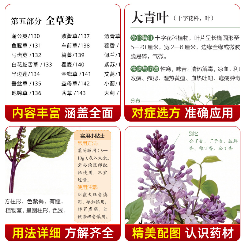 Illustrated Guide  Chinese Her - Herbal Holistic Wellness ulasan dan harga